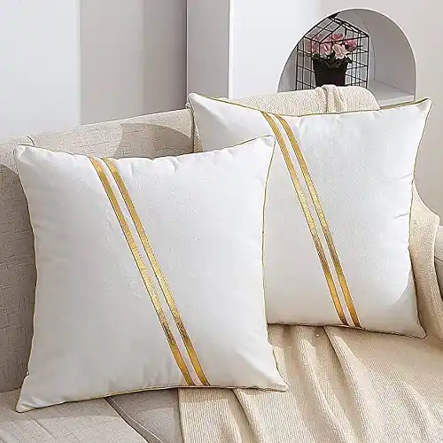 Pillow and Pillow Covers
